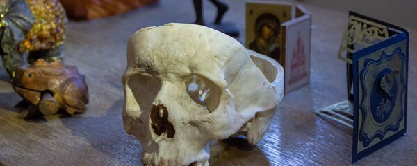 В кабинете судмедэксперта череп - это не муляж - Sputnik Беларусь