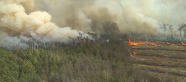 Лесной пожар - Sputnik Беларусь