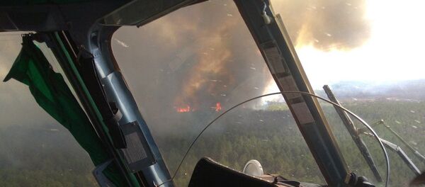 Лесной пожар в Беларуси - Sputnik Беларусь