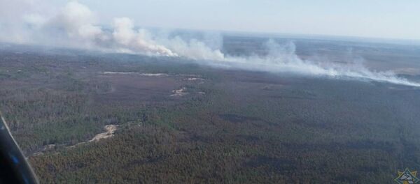 Крупный пожар в Столинском районе Крупный пожар в Столинском районе - Sputnik Беларусь