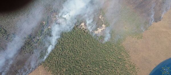 Ликвидация пожара на Ольманских болотах в Столинском районе - Sputnik Беларусь