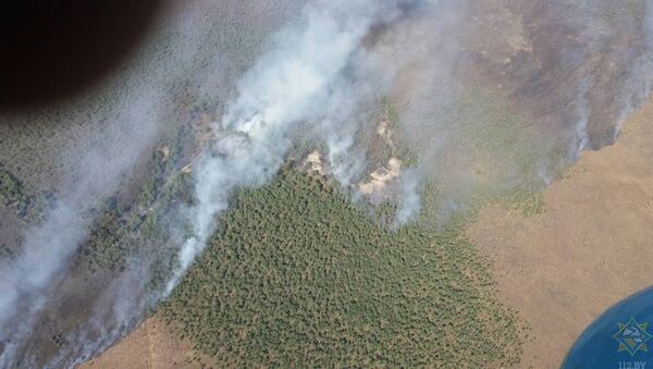 Ликвидация пожара на Ольманских болотах в Столинском районе - Sputnik Беларусь