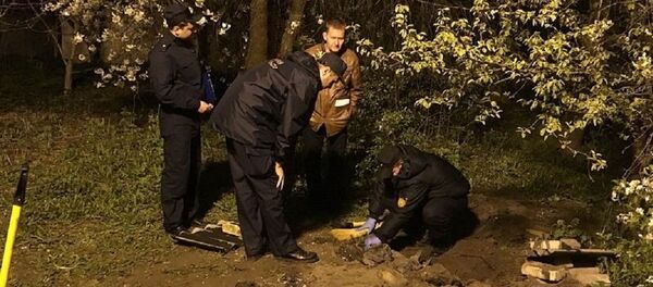 Работа следователей на месте обнаружения останков - Sputnik Беларусь