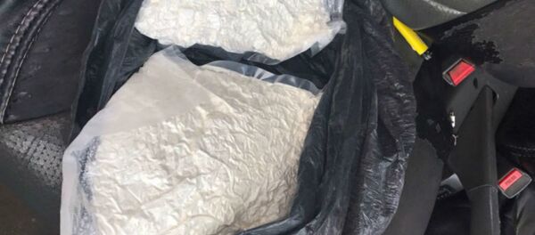 Пресечен каналов поставки наркотиков на территорию Беларусь и их дальнейшее распространение - Sputnik Беларусь