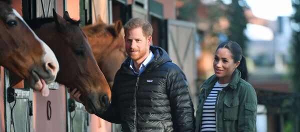 Супруги принц Гарри и Меган Маркл на прогулке - Sputnik Беларусь