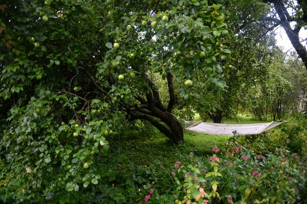 Отдых за городом: почему дачи под Минском не сдают на месяц - Sputnik Беларусь