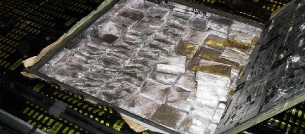 Россиянин пытался ввезти из Литвы в Беларусь крупную партию гашиша Россиянин пытался ввезти из Литвы в Беларусь крупную партию гашиша - Sputnik Беларусь