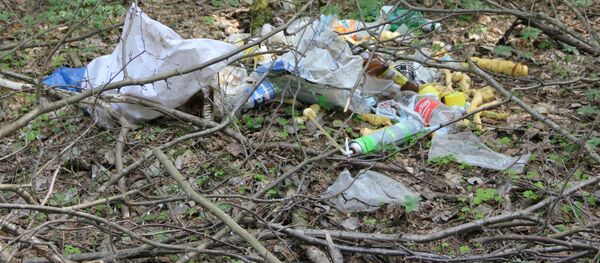 Мусор в лесу - Sputnik Беларусь