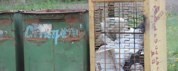 Мусор после выходных есть, однако, оказывается, совсем несложно его аккуратно разложить по контейнерам - Sputnik Беларусь