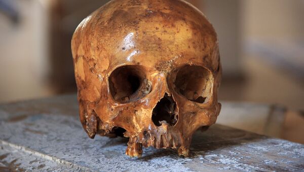 Человеческий череп, архивное фото - Sputnik Беларусь