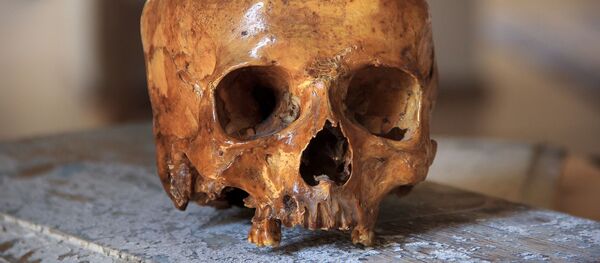 Человеческий череп, архивное фото - Sputnik Беларусь