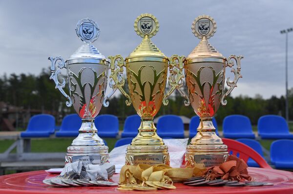 Дипломатический футбол: актеры против журналистов, дипломаты против парламента - Sputnik Беларусь