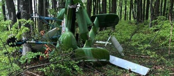 Обломки вертолета, которым управлял белорус, найдены в горах в Румынии - Sputnik Беларусь