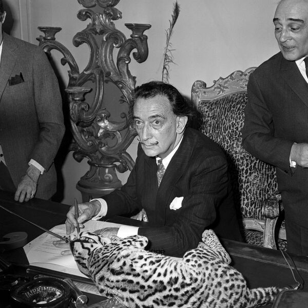 12 мая 1965 года Сальвадор Дали подписывает свою книгу Lettre ouverte a Salvador Dali. На столе перед ним лежит его питомец оцелот по кличке Babou. - Sputnik Беларусь