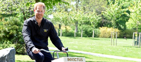 Принц Гарри во время велосипедной прогулки в Нидерландах - Sputnik Беларусь