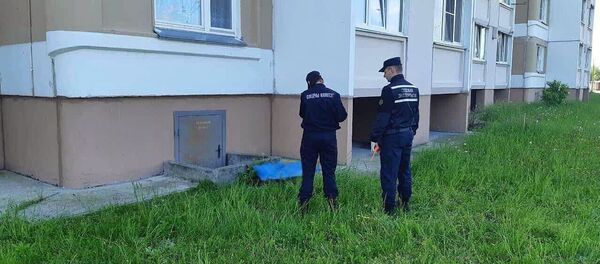 Следователи устанавливают обстоятельства выпадения детей из окон - Sputnik Беларусь