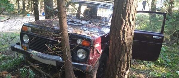 Lada в кювете - Sputnik Беларусь