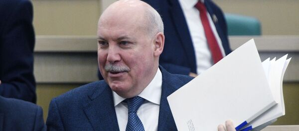 Член Комитета Совета Федерации по экономической политике Дмитрий Мезенцев  - Sputnik Беларусь
