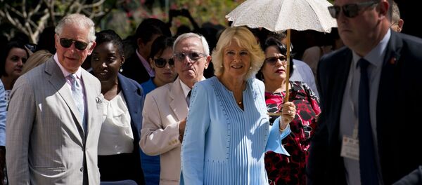 Камилла Паркер-Боулз и принц Чарльз Камилла Паркер-Боулз и принц Чарльз - Sputnik Беларусь