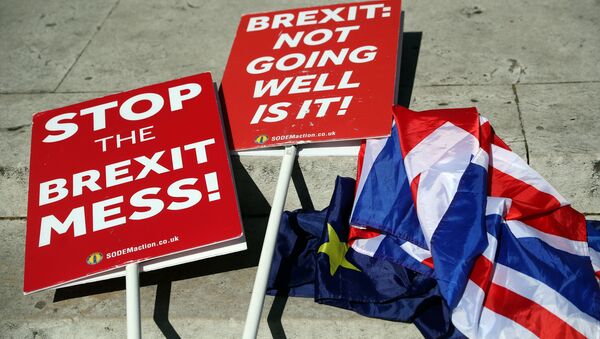 Таблички с лозунгами против Brexit у здания парламента в Лондоне - Sputnik Беларусь