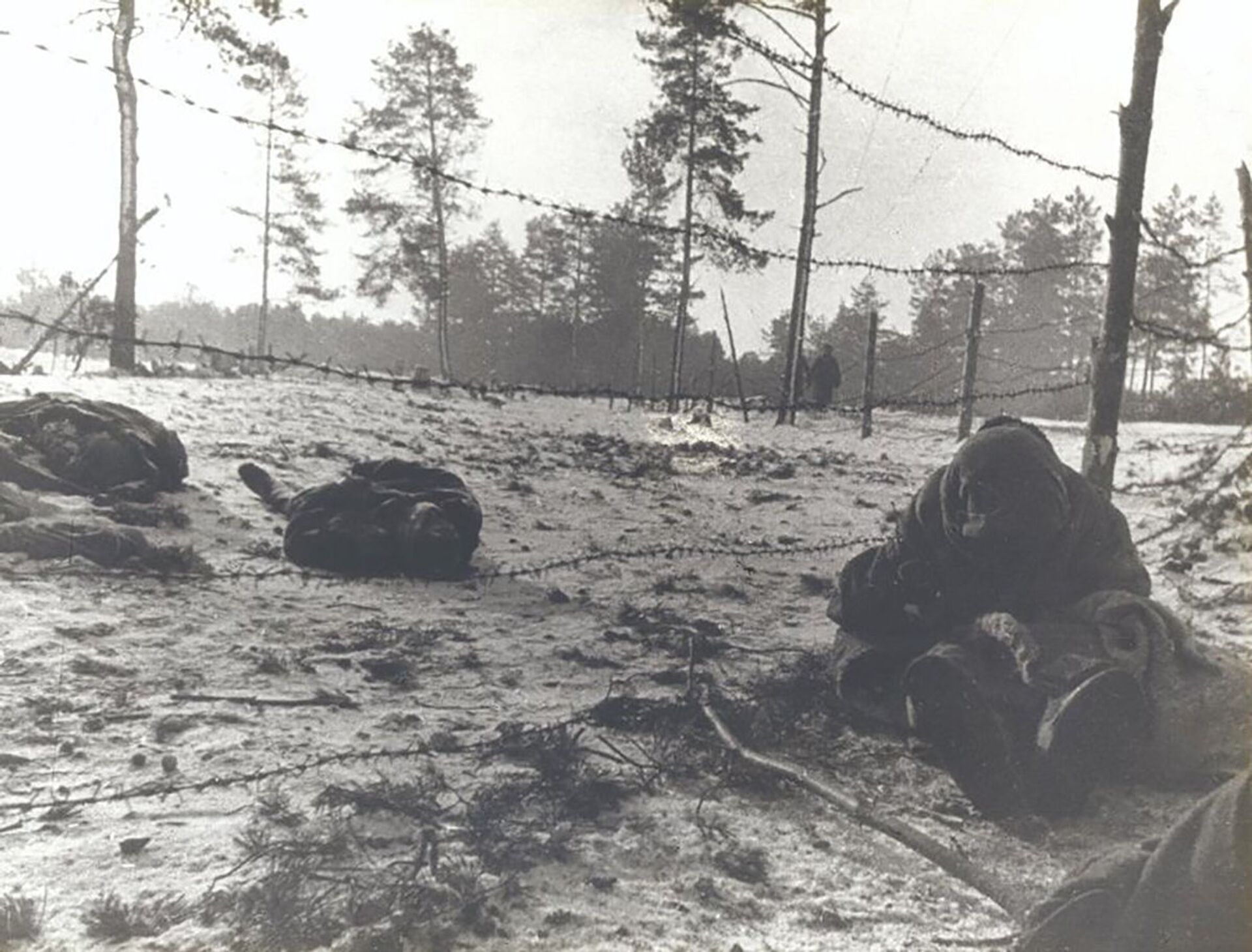 Концлагерь Озаричи. Погибшие от взрывов мин, 18 марта 1944 года - Sputnik Беларусь, 1920, 19.03.2024
