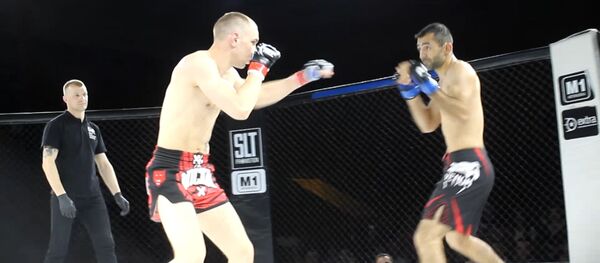 Крупный международный турнир по смешанным единоборствам прошел в Витебске - Sputnik Беларусь