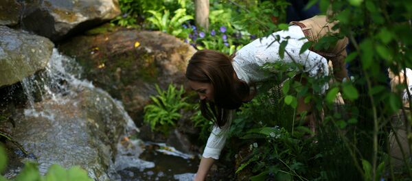 Герцогиня Кембриджская Кейт Миддлтон в саду - Sputnik Беларусь