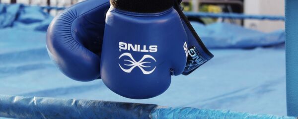 Боксерские перчатки, архивное фото - Sputnik Беларусь