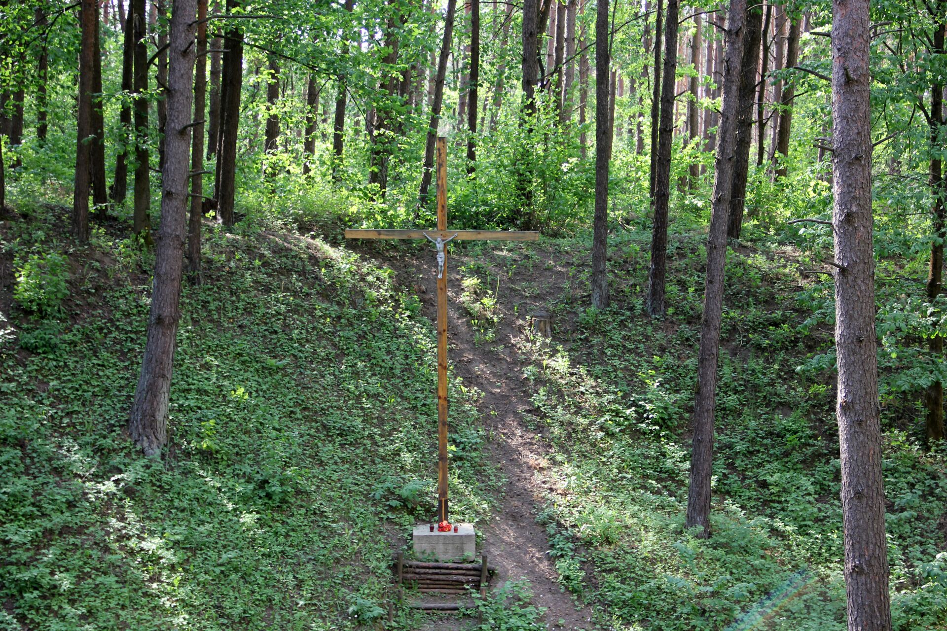 На месте одной из воронок на Золотой горке установлен крест - Sputnik Беларусь, 1920, 30.07.2021