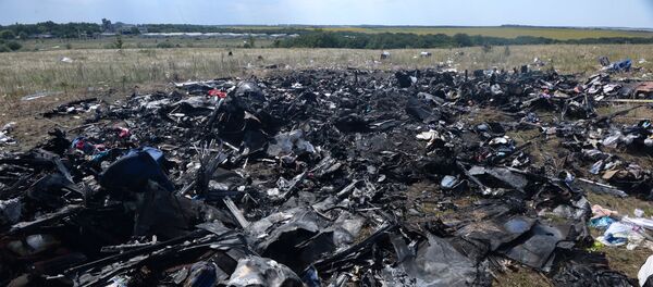 На месте крушения малайзийского Boeing 777 в районе деревни Грабово недалеко от Шахтерска - Sputnik Беларусь