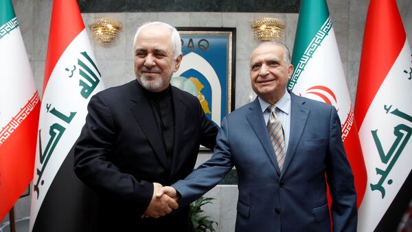 Глава МИД Ирана Мохаммад Джавад Зариф и глава МИД Ирака Мухаммед Али аль-Хаким - Sputnik Беларусь