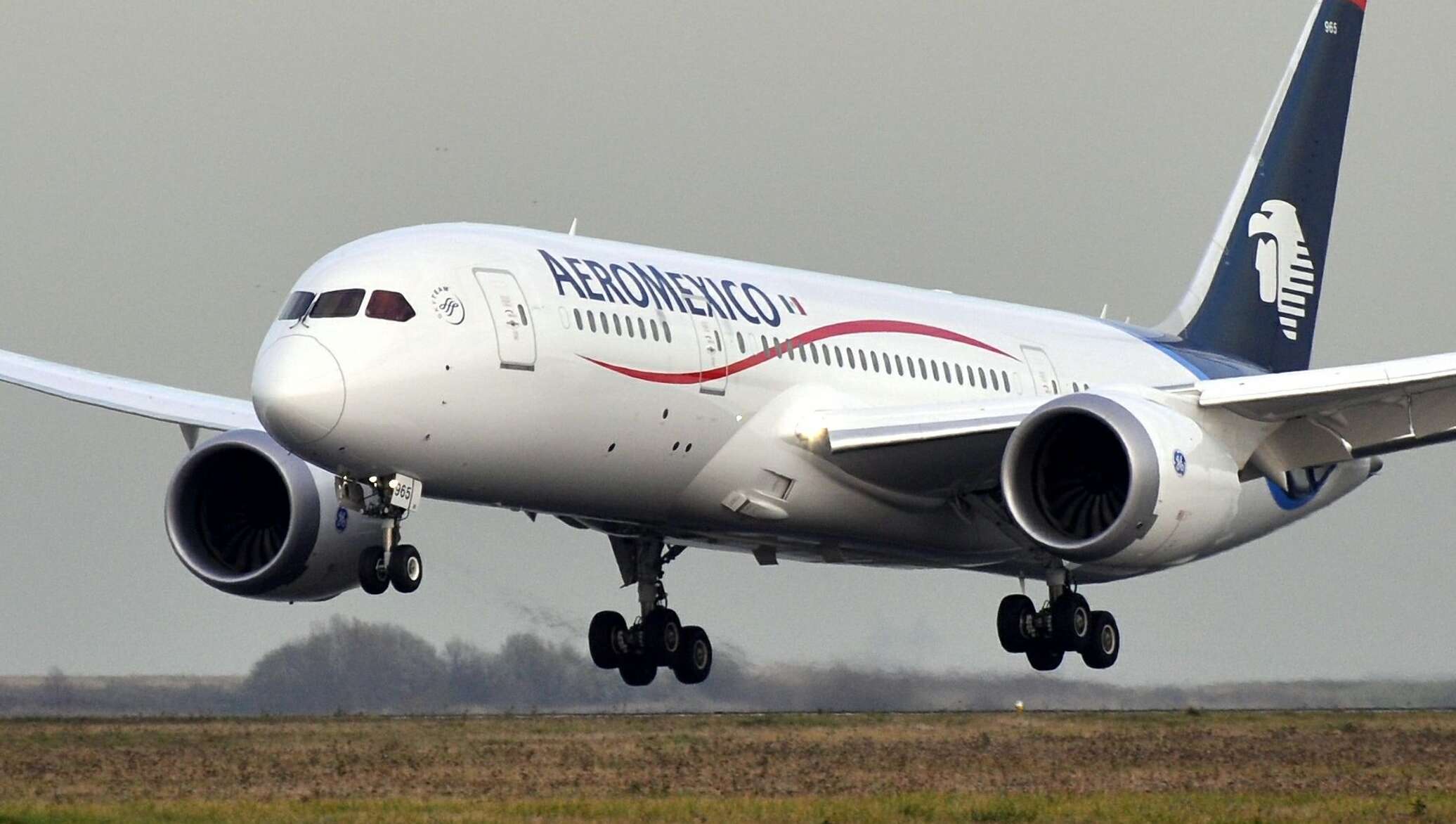 Фирма самолет. Аэромексико Боинг 737 Мах. Boeing 787 Aeromexico. Aeromexico Airlines самолеты. Wv84 Air.