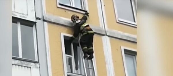 Ради спасения ласточки сотрудники МЧС подогнали специальную лестницу - Sputnik Беларусь