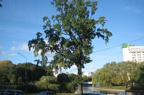 Где белорусы ищут здоровье и любовь и как в этом помогают камни и вода - Sputnik Беларусь