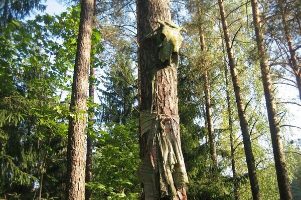 Где белорусы ищут здоровье и любовь и как в этом помогают камни и вода - Sputnik Беларусь
