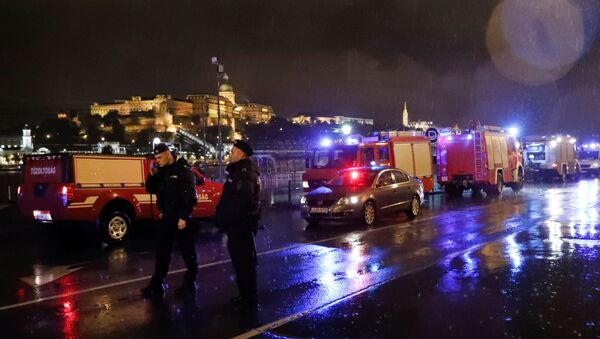 Полицейские и пожарные машины на берегу Дуная после крушения катера с туристами на реке в Будапеште - Sputnik Беларусь