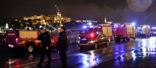 Полицейские и пожарные машины на берегу Дуная после крушения катера с туристами на реке в Будапеште - Sputnik Беларусь