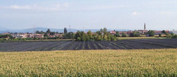 Альбаредо-д’Адидже - Sputnik Беларусь