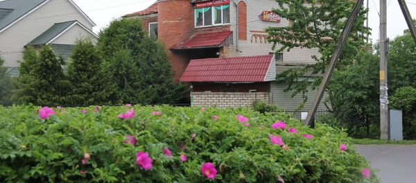 Бывшее кафе сегодня стоит безлюдное - Sputnik Беларусь