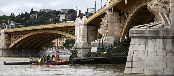 На месте столкновения катера и круизного лайнера на Дунае работают спасатели - Sputnik Беларусь