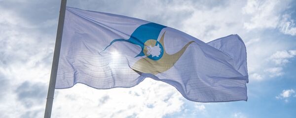 Флаг с символикой Евразийского экономического союза (ЕАЭС) Флаг с символикой Евразийского экономического союза (ЕАЭС) - Sputnik Беларусь