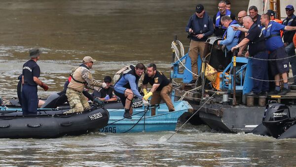 Спасатели продолжают поиски погибших после аварии туристического катера на реке Дунай в Будапеште - Sputnik Беларусь