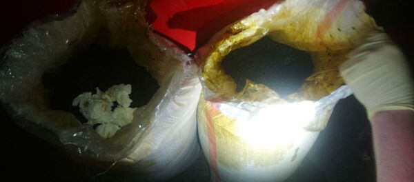 Самая крупная партия насвая за последние пять лет изъята в Гродно - Sputnik Беларусь