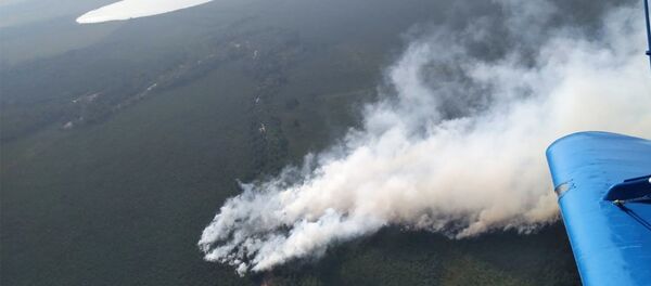 Тушение пожара в Столинском районе Тушение пожара в Столинском районе - Sputnik Беларусь