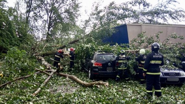 Град, затопления и упавшие деревья: что оставил после себя ливень в Минске - Sputnik Беларусь