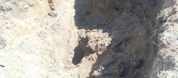 Сотрудники МЧС спасли из-под грунта двоих мужчин в Смолевичском районе - Sputnik Беларусь