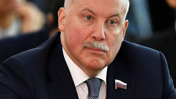 Член комитета Совета Федерации по экономической политике Дмитрий Мезенцев - Sputnik Беларусь
