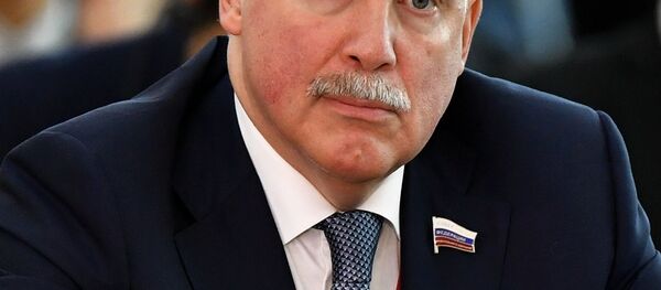 Член комитета Совета Федерации по экономической политике Дмитрий Мезенцев Член комитета Совета Федерации по экономической политике Дмитрий Мезенцев - Sputnik Беларусь