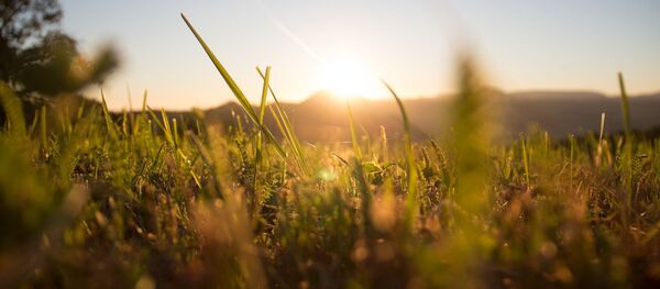 Восход солнца летом - Sputnik Беларусь