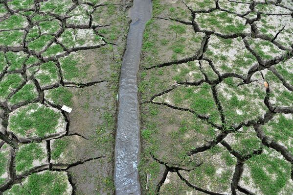 Иссохшая земля у водохранилища Лос-Лорелес в Тегусигальпе в апреле 2019 года - Sputnik Беларусь